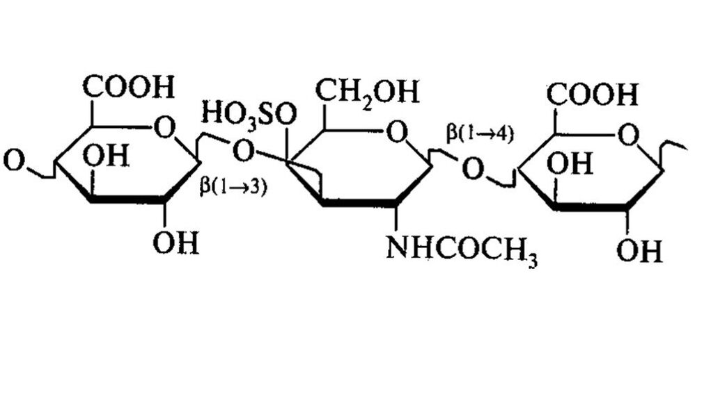 Kondroitin in ZXCVBNQWERT